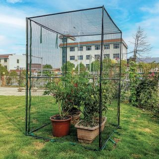 Fruit & Plant Protection Cage Thumbnail